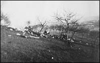 Crash site of EQ-X April 17, 1943